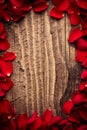 Frame of petals of red roses on wooden backdrop Royalty Free Stock Photo