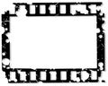 Frame of photographic film Royalty Free Stock Photo