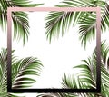 Frame picture with green leaf of palm tree background Royalty Free Stock Photo