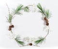 Frame pine tree branches cones Christmas holidays flat lay