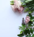 Flowers composition on white background. Flat lay, top view. Royalty Free Stock Photo