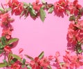 Frame of pink flowers on a pink background. Frame for birthday, wedding, photo frame to album Royalty Free Stock Photo