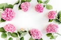 Frame of pink hydrangea flowers with space for text on white background. Floral concept. Flat lay, top view.
