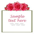 Frame with pink rose flowers Royalty Free Stock Photo