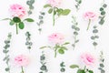 Frame of pink roses flowers and eucalyptus on white background. Flat lay, top view. Summer flowers Royalty Free Stock Photo