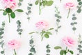 Frame of pink roses flowers and eucalyptus on white background. Flat lay, top view. Valentines day Royalty Free Stock Photo