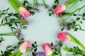 Frame of pink tulips and eucalyptus branches