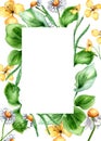 Frame of plantago broadleaf, celandine plants watercolor illustration isolated on white background. Plantain, chamomile