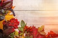 Frame from plants, autumn composition of leaves and berries on a light wooden background Royalty Free Stock Photo