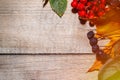 Frame from plants, autumn composition of leaves and berries on a light wooden background Royalty Free Stock Photo