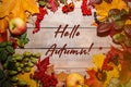 Frame from plants, autumn composition of leaves and berries on a light wooden background Royalty Free Stock Photo