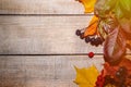 Frame from plants, autumn composition of leaves and berries on a light wooden background Royalty Free Stock Photo