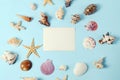 Frame of Plenty different seashells on a blue background. Seaside themed backdrop for travel agency template advertising