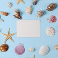 Frame of Plenty different seashells on a blue background. Seaside themed backdrop for travel agency template advertising