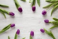 Frame of purple tulips on white wooden background, top view. Flat lay, overhead, from above. Copy space Royalty Free Stock Photo