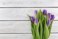 Frame of purpleviolet tulips on white rustic wooden background