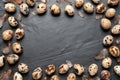 Frame of quail eggs feathers on black table. Space for text Royalty Free Stock Photo