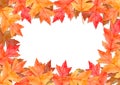 Frame of red leaves in autumn concept  isolated on white background. Flat lay, top view, copy space. Royalty Free Stock Photo