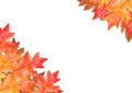Frame of red leaves in autumn concept  isolated on white background. Flat lay, top view, copy space. Royalty Free Stock Photo