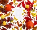 Frame of red oak leaves, yellow birch leaves, pumpkins, apples, walnuts, acorns, berries, flowers and notepad on white background Royalty Free Stock Photo