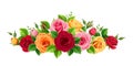Frame with red, pink, orange and yellow roses. Vector illustration. Royalty Free Stock Photo
