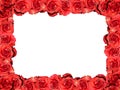 Frame of red roses
