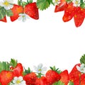 Seamless border with strawberries. White flowers and green leaves watercolor highlighted on a white background. Strawberry slices Royalty Free Stock Photo