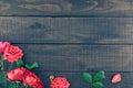 Frame of roses on dark rustic wooden background. Spring flowers. Royalty Free Stock Photo