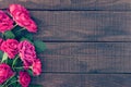 Frame of roses on dark rustic wooden background. Spring flowers. Royalty Free Stock Photo