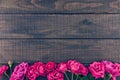 Frame of roses on dark rustic wooden background. Spring flowers. Royalty Free Stock Photo