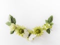 Frame with roses, green flowers leaves and butterflay on white background.