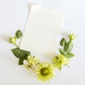 Frame with roses, green flowers leaves and butterflay on white background. Royalty Free Stock Photo