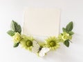 Frame with roses, green flowers leaves and butterflay on white background.