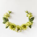 Frame with roses, green flowers leaves and butterflay on white background.