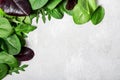 Frame from salad mix leaves, arugula, spinach, chard on a gray background. Place for text Royalty Free Stock Photo