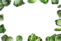 Frame of Savoy cabbages on background Royalty Free Stock Photo