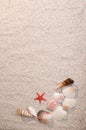 Frame of sea shells and starfish on sand Royalty Free Stock Photo