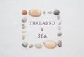 Frame of sea shells on a white background with inscription Thalasso and spa. Background for Thalassotherapy and Spa