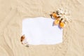 Frame with seashells and coral on golden sandy beach. Summer vacation concept with copyspace for text message Royalty Free Stock Photo