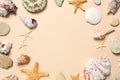 Frame of seashells on light background, flat lay. Space for text Royalty Free Stock Photo