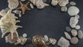 Frame of seashells, sea smooth stones and starfish on black granite with white spots background Royalty Free Stock Photo