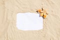 Frame with seashells and starfish on golden sandy beach. Summer vacation concept with copyspace for text message Royalty Free Stock Photo