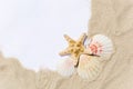 Frame with seashells and starfish on golden sandy beach. Summer vacation concept with copyspace for text message Royalty Free Stock Photo