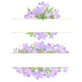 Frame set of lilac watercolor geranium flowers isolated on white background. Perfect for web design, cosmetics design, package, Royalty Free Stock Photo