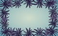 Frame of Silhouette palm tree in flat icon design with vintage filter