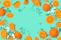 Frame of sliced fresh orange with splash of water on a green background Royalty Free Stock Photo