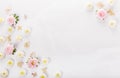 Frame of small flowers and daisy, floral arrangement Royalty Free Stock Photo