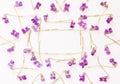 A frame of small forest flowers purple violets on white background with space for text. Royalty Free Stock Photo