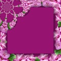 frame of small pink flowers on purple magenta background, delicate background with magenta flowers, outline of small flowers Royalty Free Stock Photo