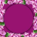 frame of small pink flowers on purple magenta background, delicate background with magenta flowers, outline of small flowers Royalty Free Stock Photo